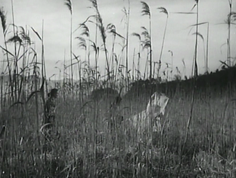 3. Wakasa y Genjuro caminando tras unos juncos