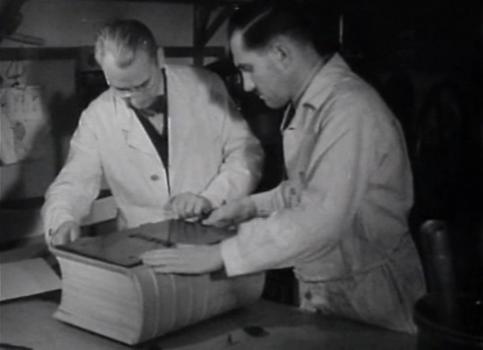 2. Mein Kampf