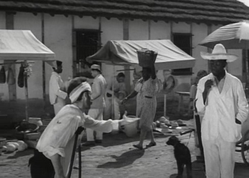 1. Amarga, intensa y precisa es la descripción que Clouzot hace de Las Piedras